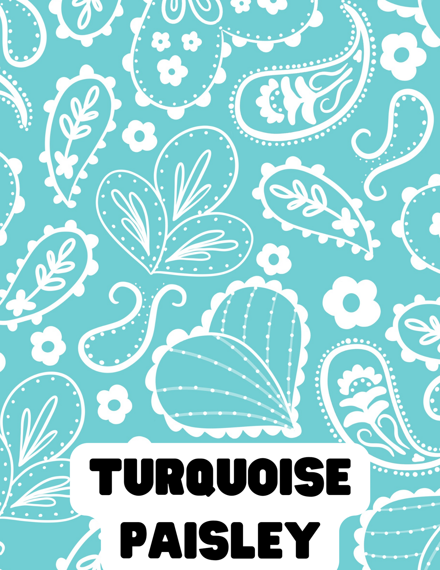 Turquoise Paisley