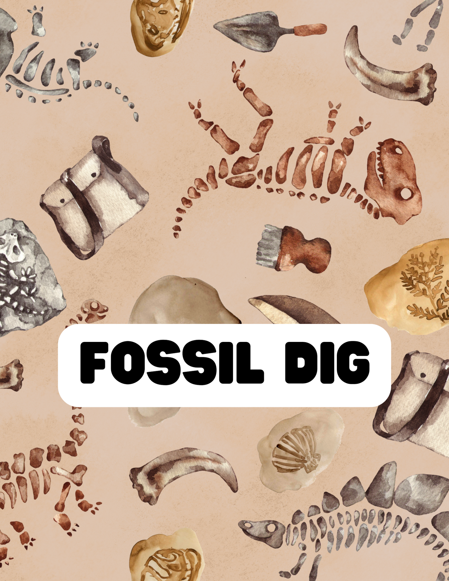 Fossil Dig - The Little Dickens Shop