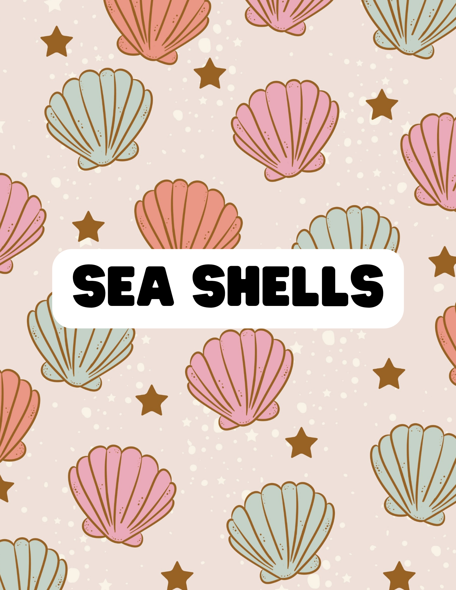 Sea Shells - The Little Dickens Shop