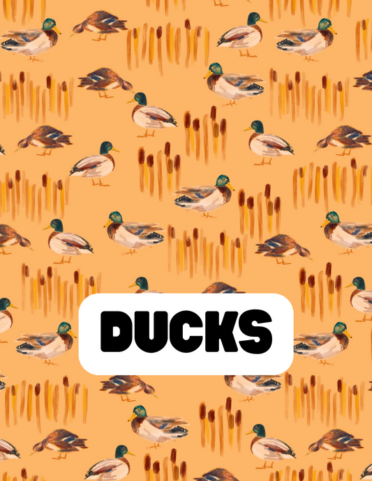 Ducks - The Little Dickens Shop