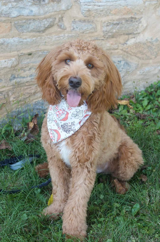 Pet Bandana - The Little Dickens Shop